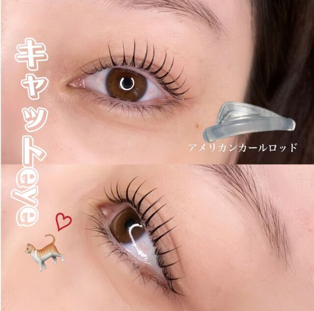 まつ毛パーマ

つり目気味なお客様
キツく見えないように
まつ毛全体に丸みをつけて
目尻を下げて流して柔らかい雰囲気に🫧

♒︎♒︎♒︎♒︎♒︎♒︎♒︎♒︎♒︎♒︎♒︎♒︎♒︎♒︎♒︎♒︎♒︎♒︎♒︎♒︎♒︎♒︎♒︎♒︎♒︎♒︎♒︎

DMからご予約承っております📩
お気軽にご連絡下さい。

#鹿児島まつ毛#鹿児島アイラッシュ#鹿児島マツエク#マツエクデザイン#フラットラッシュ#カラーエクステ#ボリュームラッシュ#まつ毛パーマデザイン